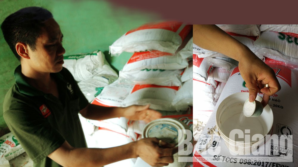 Sử dụng thuốc bổ trợ chăn nuôi chưa kiểm định ở Bắc Giang: Cẩn trọng, tránh chuốc thêm thiệt hại