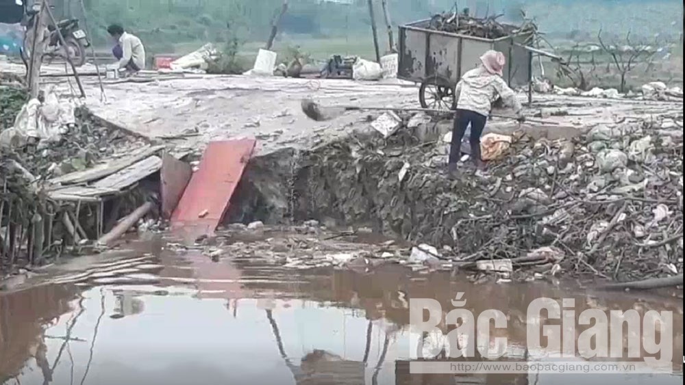 Cần giải quyết dứt điểm tình trạng vứt xác lợn, rác thải trên kênh Trôi, đoạn qua xã Hoàng An (Hiệp Hòa)