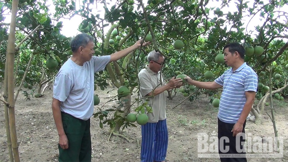 Mô hình “Lương Phong hội quán”