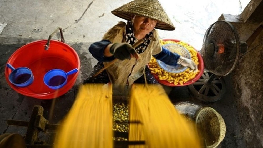 Keeping the thread alive at a Vietnam silk village