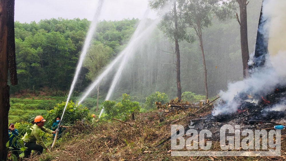 Lục Ngạn diễn tập thực binh chữa cháy rừng