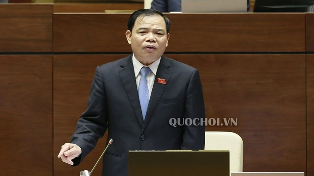 Bộ trưởng Nguyễn Xuân Cường: "Đường ra biển" sao lại hỏi Bộ Nông nghiệp?