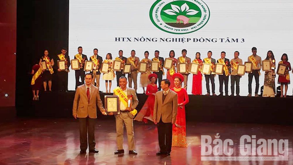 Bắc Giang: Nho đen không hạt và dưa lưới của HTX Đồng Tâm 3 lọt top thương hiệu, nhãn hiệu độc quyền uy tín