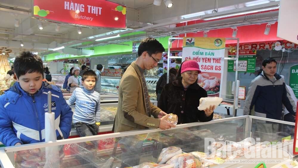 Tiêu thụ Gà đồi Yên Thế dịp Tết Nguyên đán: Tập trung vào siêu thị, chợ đầu mối