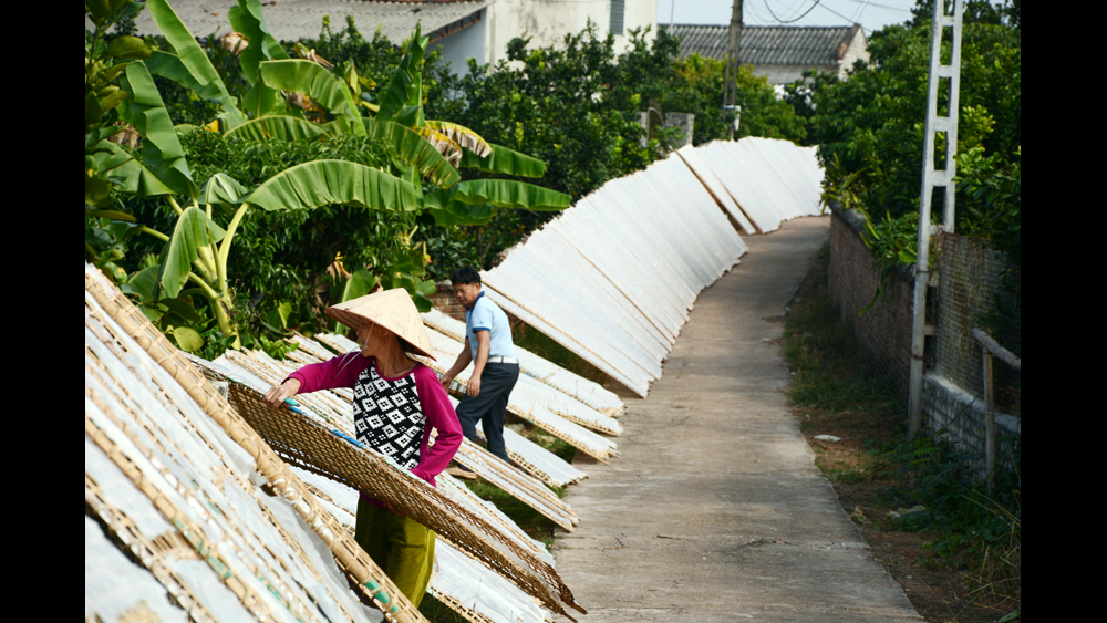 Phơi bánh