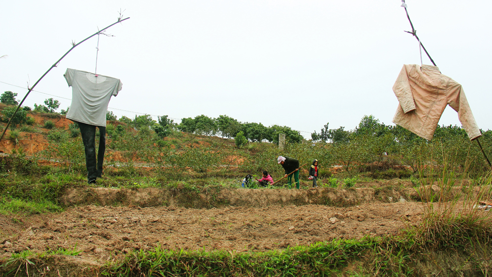 Mùa gieo hạt