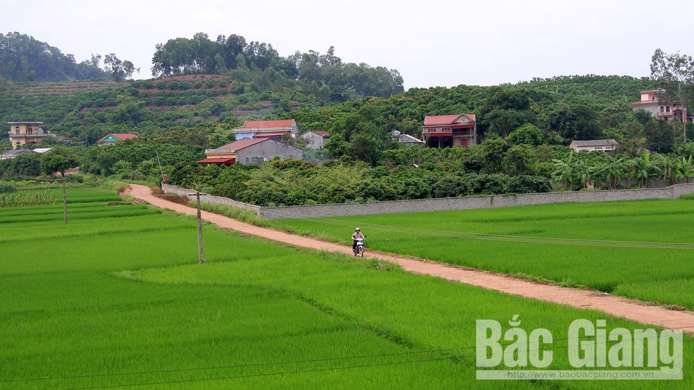 HĐND huyện Lục Ngạn đổi mới, nâng cao chất lượng hoạt động