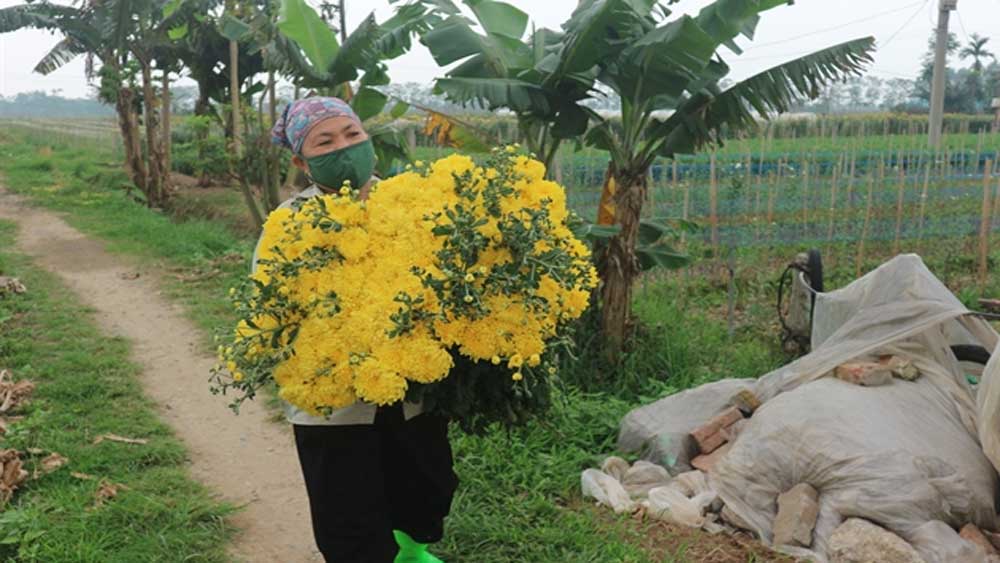 Flower village to revive production