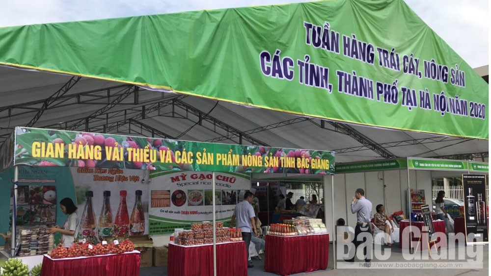 Hơn 1 tấn vải thiều Lục Ngạn được tiêu thụ tại Hà Nội với giá từ 45 đến 55 nghìn đồng/kg