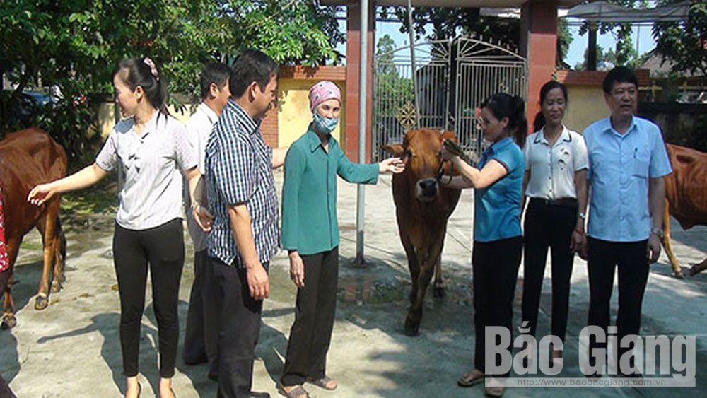 Trao tặng bò, sổ tiết kiệm cho hội viên phụ nữ và trẻ em có hoàn cảnh khó khăn