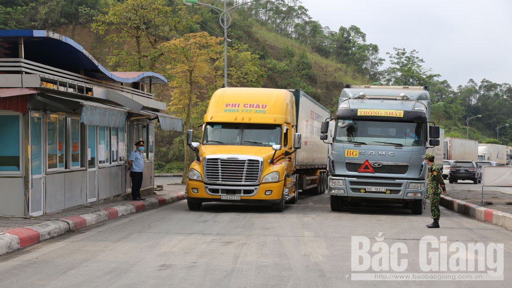 Xuất khẩu vải thiều Bắc Giang qua cửa khẩu tỉnh Lạng Sơn: Tạo thuận lợi thông quan nhanh nhất