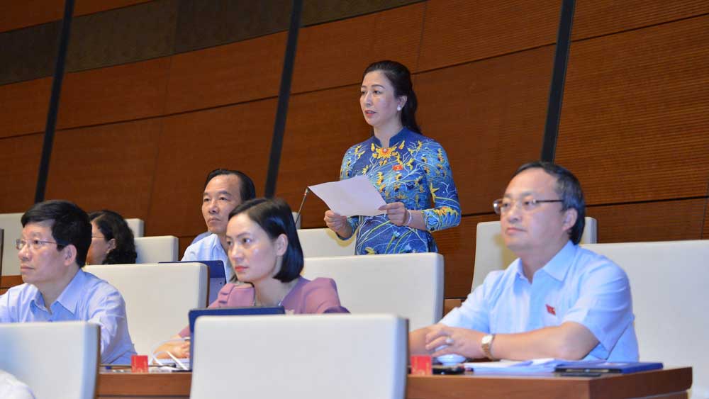 Trưởng Đoàn ĐBQH tỉnh Bắc Giang Lê Thị Thu Hồng: Đề nghị đẩy nhanh tiến độ quy hoạch quốc gia, quy hoạch ngành và vùng