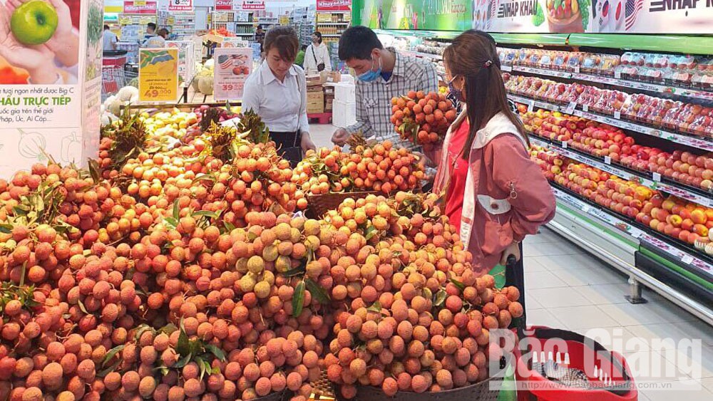 Vải thiều tiêu thụ mạnh tại các siêu thị, nhà hàng trên địa bàn tỉnh Bắc Giang