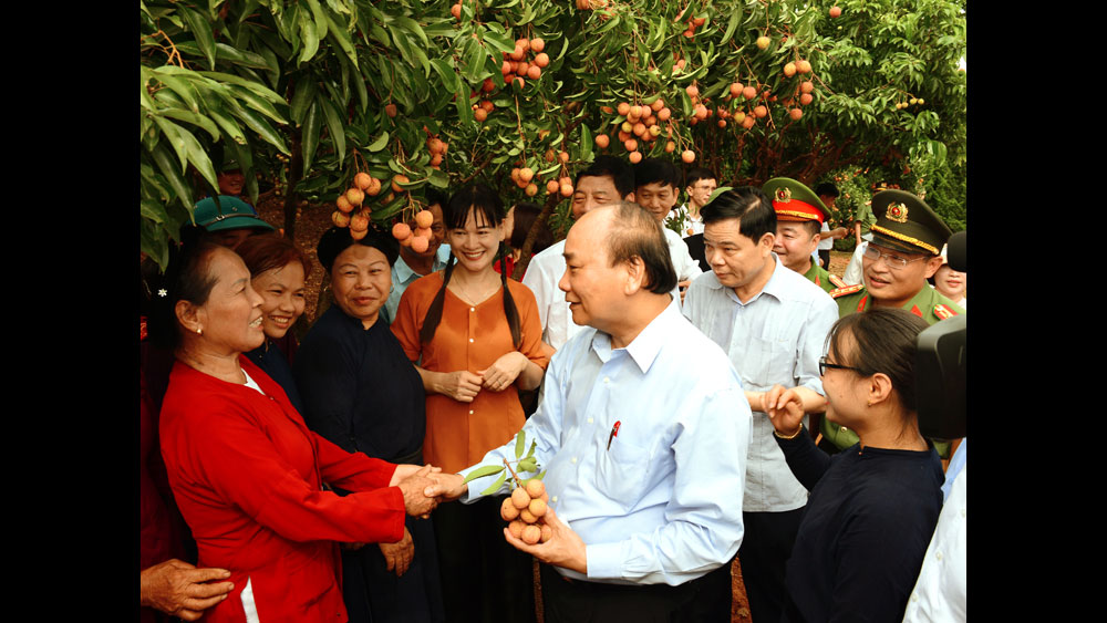 Người trồng vải  đón Thủ tướng về thăm