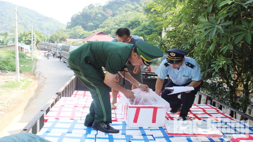 Xuất khẩu hơn 60 nghìn tấn vải thiều Bắc Giang sang Trung Quốc