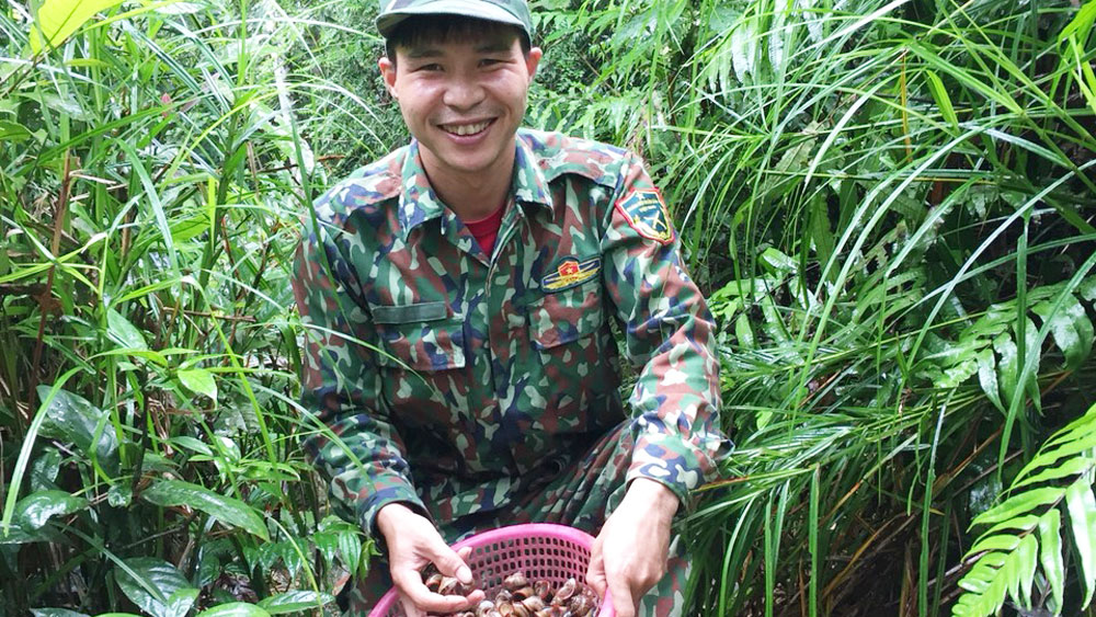 Lên núi bắt... ốc