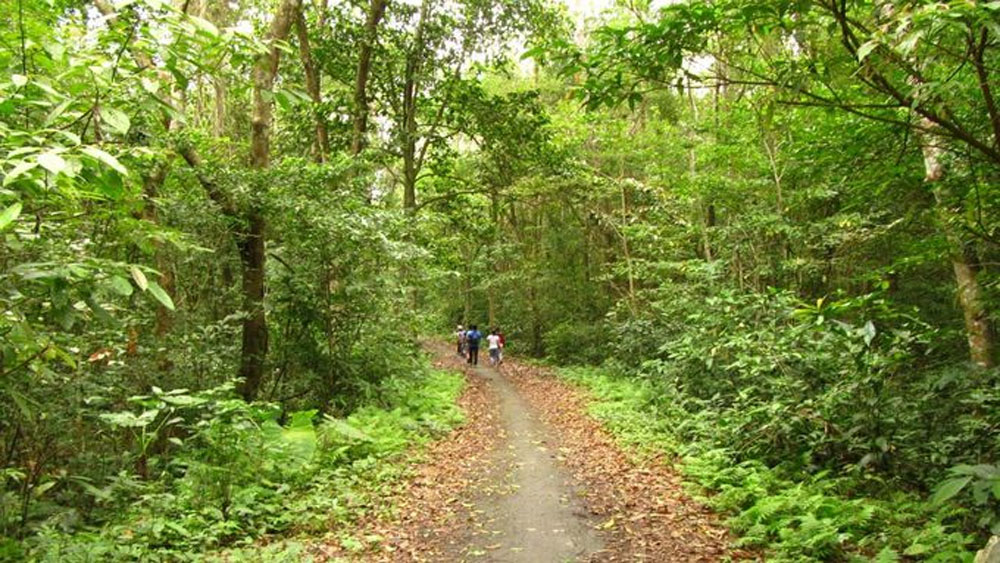 Cat Ba national park offers range of trekking options