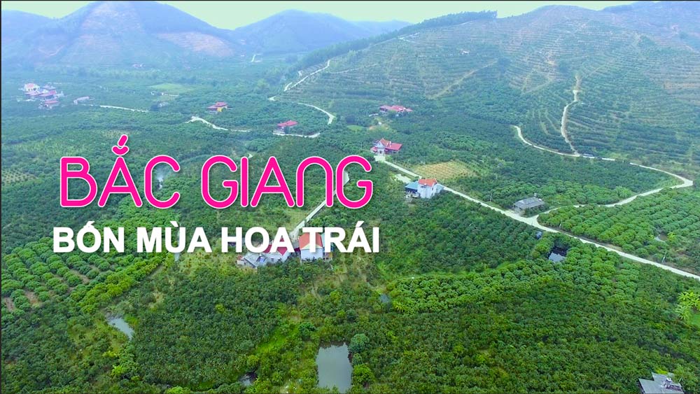 Bắc Giang: Bốn mùa hoa trái