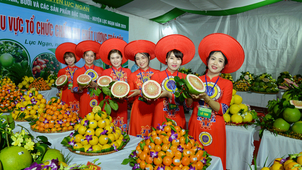 Hội chợ Cam, bưởi và các sản phẩm đặc trưng huyện Lục Ngạn 2020 hấp dẫn du khách