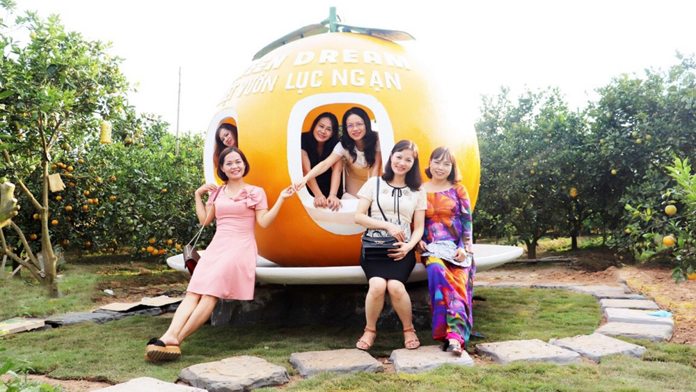 Lục Ngạn: Đắp mô hình quả cam khổng lồ ngay tại vườn, thu hút du khách