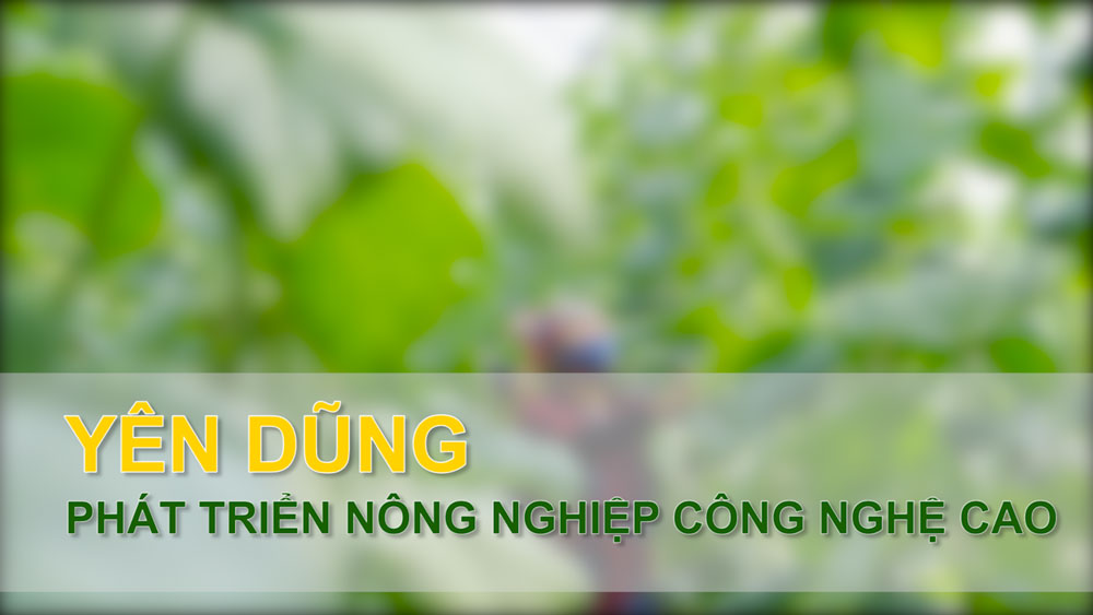 Yên Dũng phát triển nông nghiệp công nghệ cao