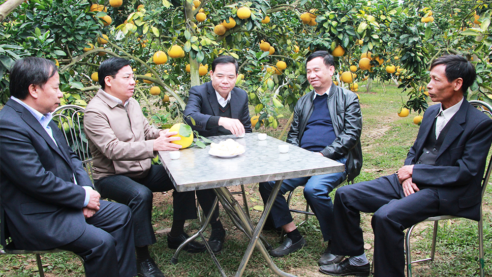 Bộ trưởng Bộ nông nghiệp và PTNT Nguyễn Xuân Cường: Liên kết chặt chẽ “4 nhà”, tăng giá trị cây ăn quả