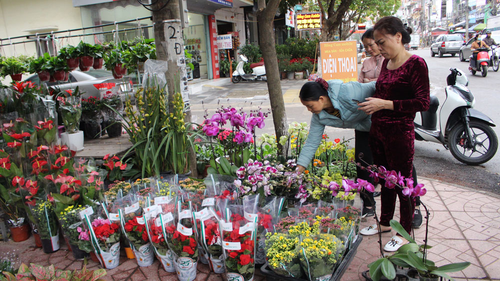 TP Bắc Giang bố trí 34 điểm bán hoa, cây cảnh, hàng hóa phục vụ Tết