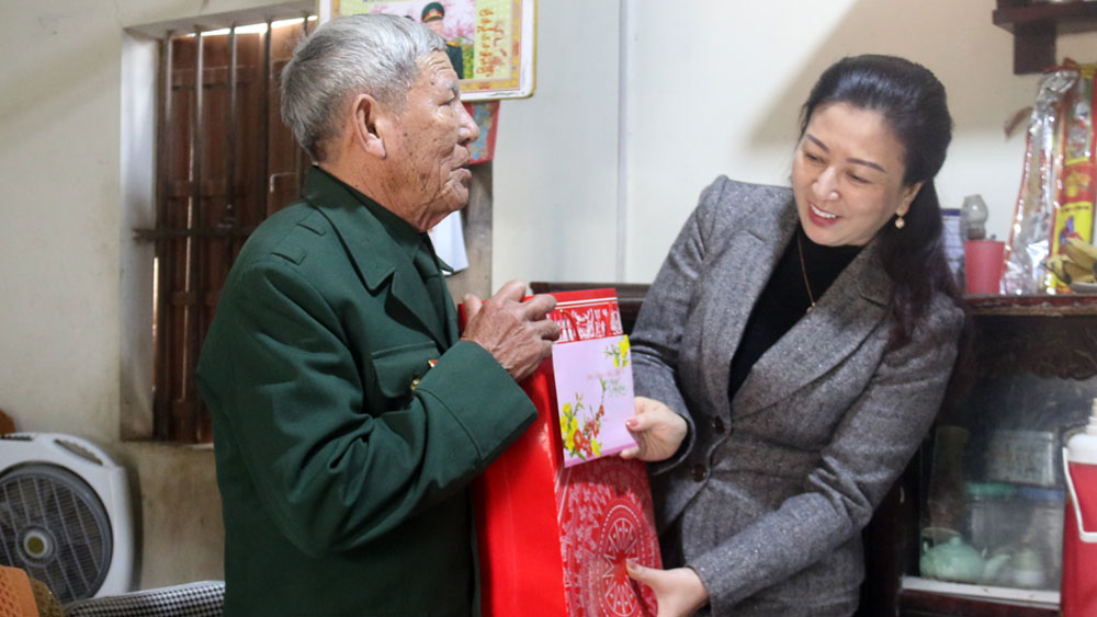 Phó Bí thư Thường trực Tỉnh ủy Lê Thị Thu Hồng thăm, tặng quà Tết người có công huyện Việt Yên