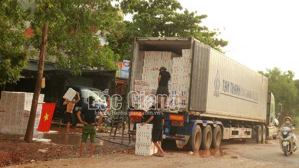 Tháo gỡ khó khăn do thiếu phương tiện chở vải thiều