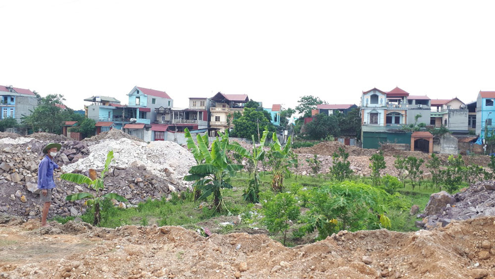 Thị trấn Bích Động (Việt Yên): Đền bù cây trồng khi thu hồi đất đúng quy định