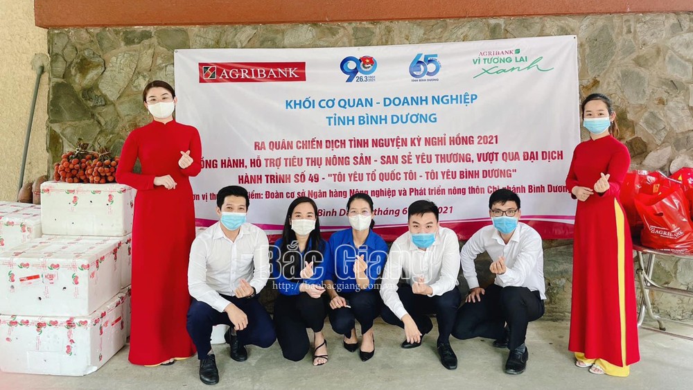 Đảng ủy Khối doanh nghiệp tỉnh Bắc Giang hỗ trợ tiêu thụ hơn 1 nghìn tấn vải thiều