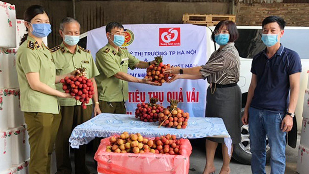 Cục Quản lý thị trường Hà Nội: Hỗ trợ Bắc Giang tiêu thụ vải thiều