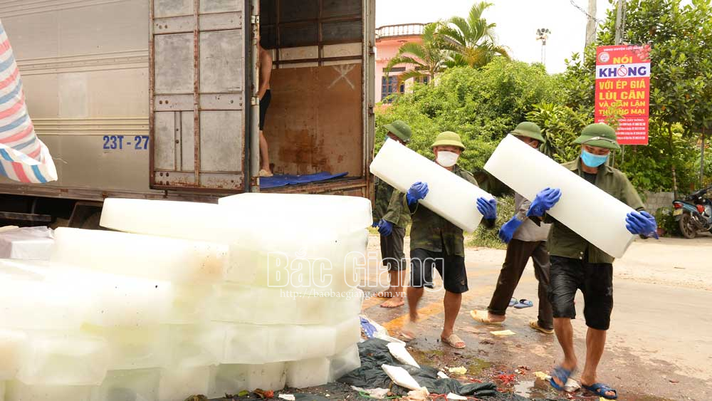 Lục Ngạn: Hỗ trợ vận chuyển hàng phụ trợ tiêu thụ vải trong vùng cách ly