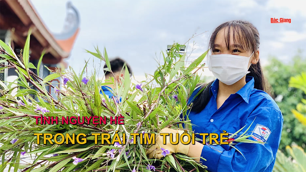 Tình nguyện hè trong trái tim tuổi trẻ