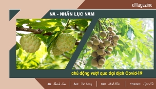 Na - nhãn Lục Nam chủ động vượt qua đại dịch Covid-19