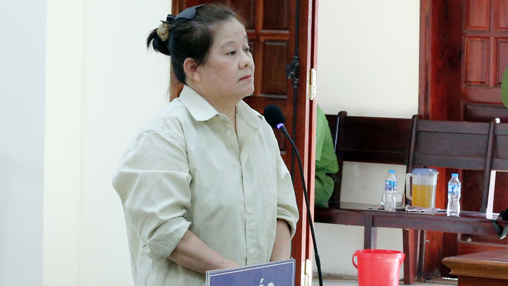 Bắc Giang: Chiếm đoạt tài sản, nữ giám đốc quỹ tín dụng nhận án chung thân