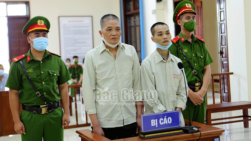 Bị cáo ở Bắc Giang lĩnh án tù vì buôn bán ma túy, trồng cây thuốc phiện