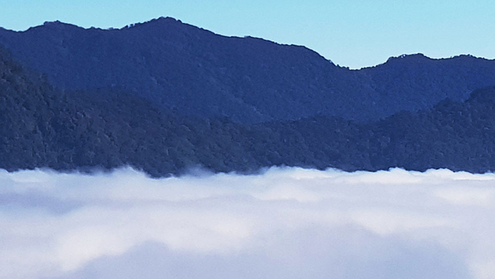 Ngoc Linh Mountain, ideal for cloud lovers