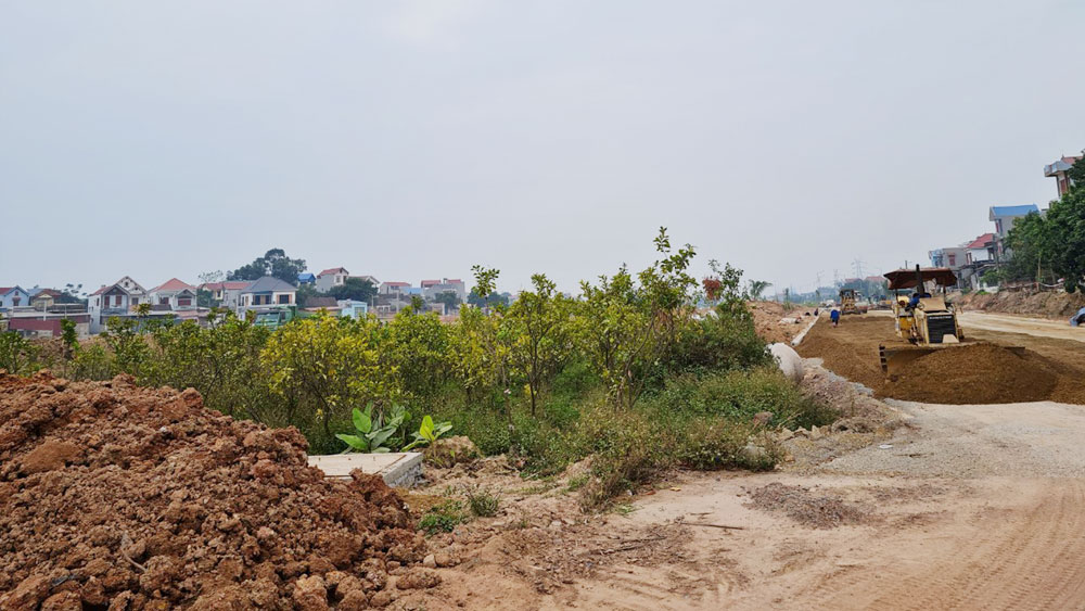 Xã Dĩnh Trì (TP Bắc Giang): Khiếu kiện từ đền bù cây trồng chưa khách quan