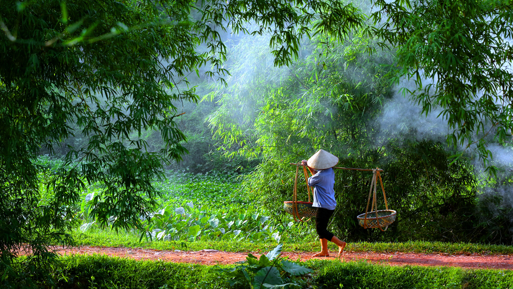 Ra đồng