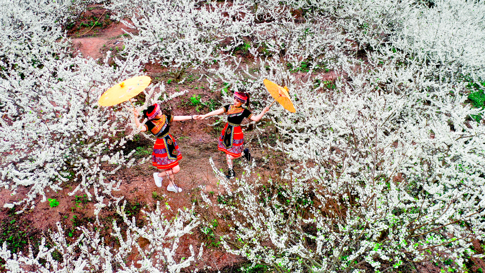 Mùa xuân trên rẻo cao