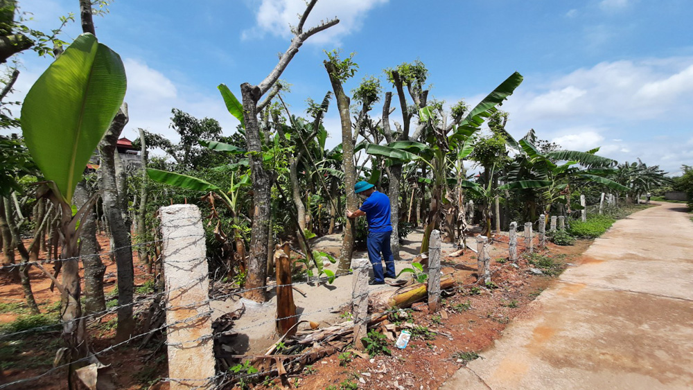 Lục Nam: Ngăn chặn việc trồng cây chờ đền bù