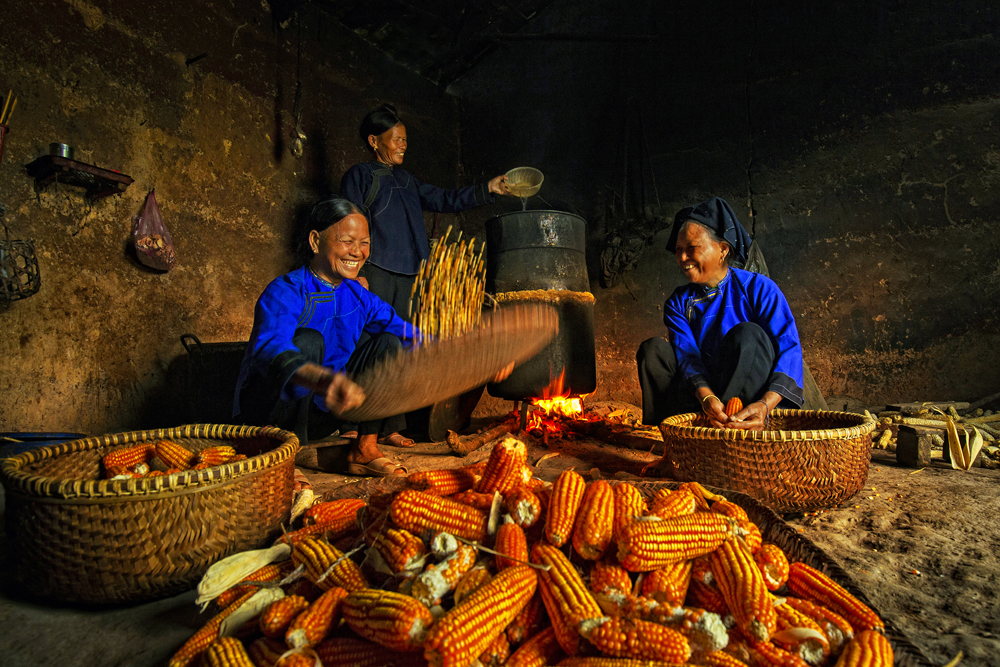 nấu rượu ngô men lá đặc biệt