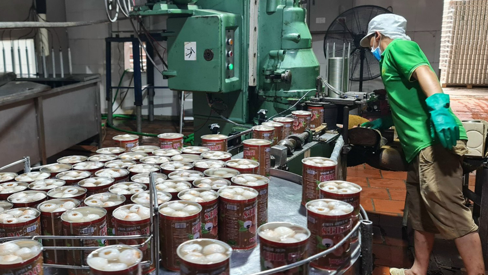 Bắc Giang: Tăng đầu tư chế biến, giảm áp lực tiêu thụ vải thiều tươi
