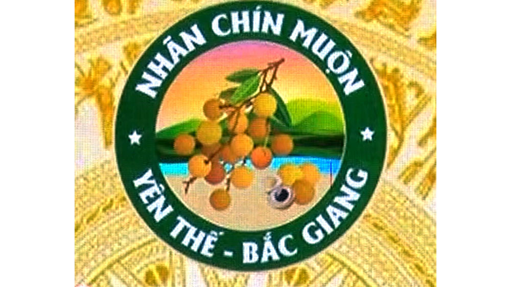 Công bố nhãn hiệu chứng nhận “Nhãn chín muộn Yên Thế”