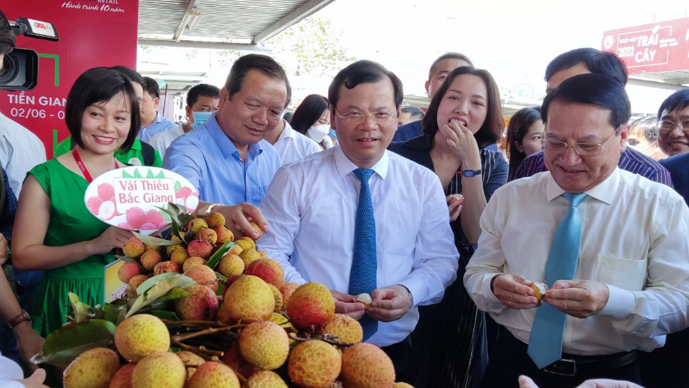 Bắc Giang: Đẩy mạnh tiêu thụ vải thiều tại thị trường phía Nam