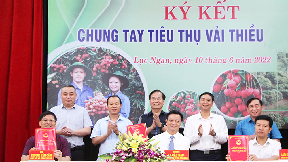 Hiệp hội Dệt may Việt Nam, Hội Doanh nhân trẻ tỉnh ký kết tiêu thụ vải thiều Lục Ngạn