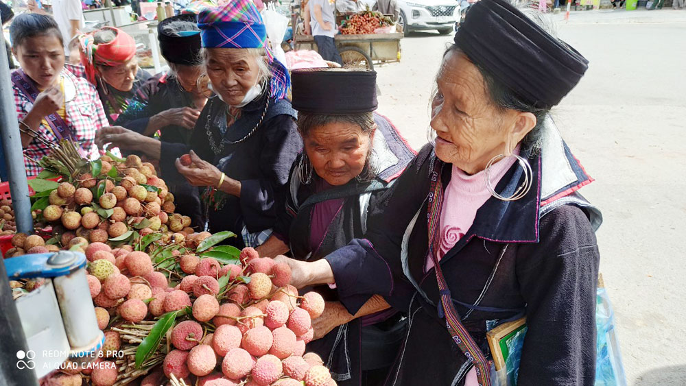Vải thiều Bắc Giang hút khách tại thị xã du lịch Sapa