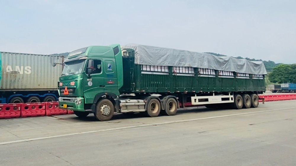Xuất khẩu hơn 1.000 tấn vải thiều qua Cửa khẩu Kim Thành (Lào Cai)