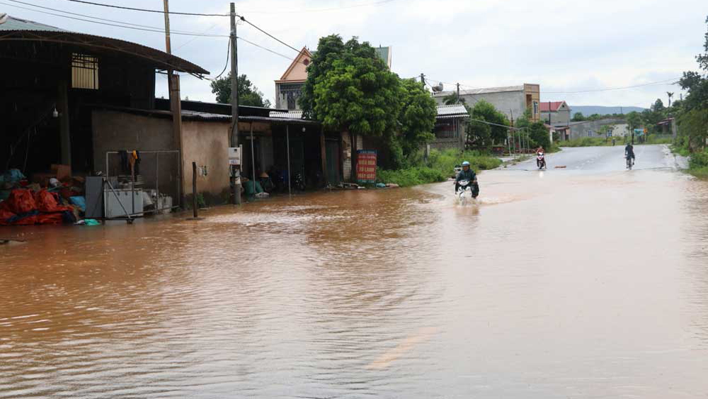 Bắc Giang: Mưa lớn, nhiều nơi ngập cục bộ, cây xanh đổ, gãy